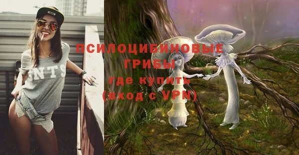 тгк Мегион