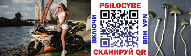Галлюциногенные грибы прущие грибы  где продают наркотики  Олонец 